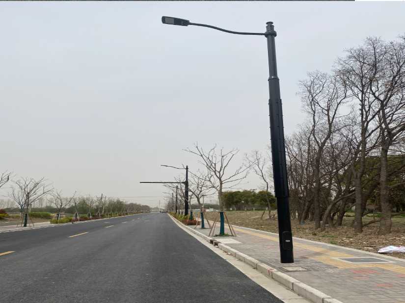 金堂县上海综合杆 太阳能路灯工程